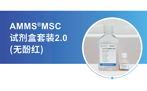 hUMSCs是个“宝”，扩增宝库全靠-AMMS®MSC无血清培养试剂盒