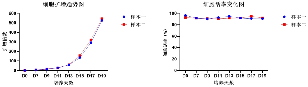 ag尊龙链接,NK试剂盒套装3.0,脐血NK细胞培养,NK细胞培养