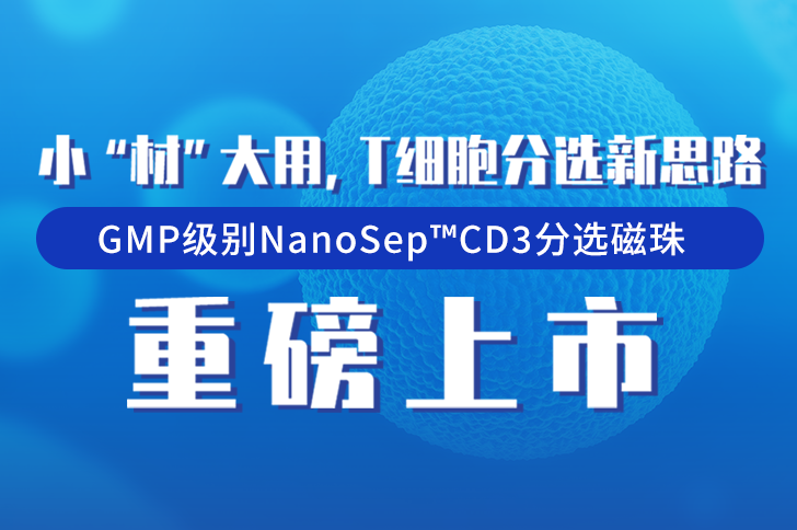 GMP级别CD3分选磁珠重磅上市！
